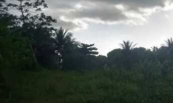 Imagem 4: Vende-se terreno 18x100