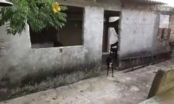 Imagem 7: CASA NO CENTRO DA CIDADE