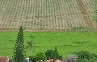 Imagem 4: Sitio de 71.000 metros em Artur Nogueira