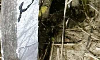 Imagem 2: Terreno Santa Cecília frente p/ Avenida