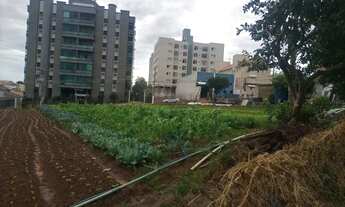 Imagem 4: Terreno em Americana