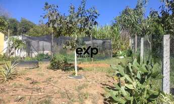 Imagem 5: Terreno à Venda- Pessegueiros