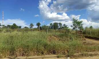 Imagem 6: Lote em Mg-424 - Parque industrial maconi issa - São José da Lapa/MG