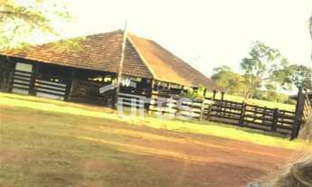 Imagem 3: Fazenda Ourinho de Deus - 63 alqueires - 7 km de Santa Tereza - Go
