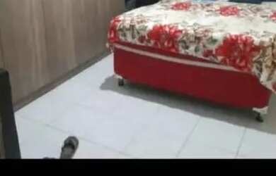 Imagem 4: Repasse privê em pau amarelo