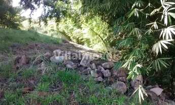 Imagem 7: Terreno - Joaquim Egídio - Campinas