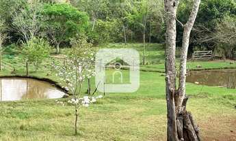 Imagem 5: Chácara para venda em área rural de Uberlândia