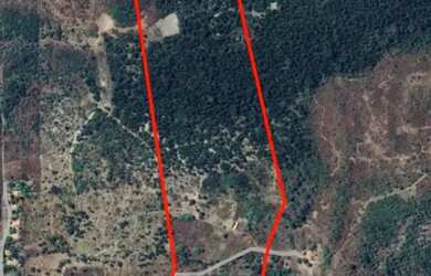 Imagem: VENDO TERRENO NA MARGEM DA PI-113 NA ZONA