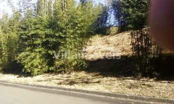 Imagem 2: Terreno - Joaquim Egídio - Campinas