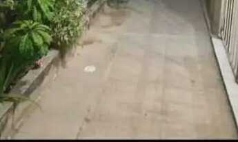 Imagem 7: Repasse privê em pau amarelo