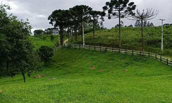 Imagem 7: Arrendamento de pasto pra gado , área localizada no bairro mandassaia , Campina G.do sul