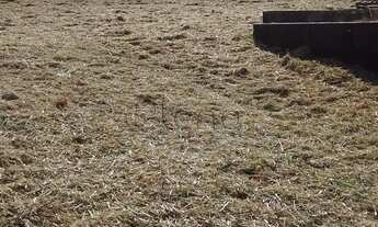 Imagem 5: Terreno à venda em Campinas, Parque Taquaral, com 5116 m²