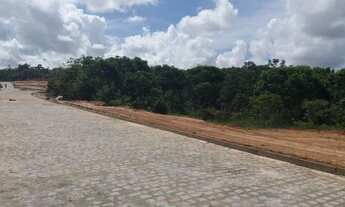 Imagem 6: Terrenos em Camaçari