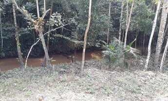 Imagem 6: Área rural próximo a Matilde (chácaras 20.000m com escritura