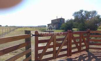 Imagem: Chácara de 11,5 hectares.!! st449