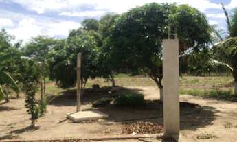 Imagem 2: Granja conde / Jacumã