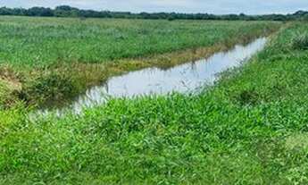Imagem 9: Venda Ou Permuta Fazenda 112 Alqueires ( 272 Hectares ) Na Região de Araraquara -SP