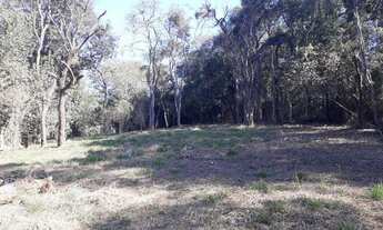 Imagem 4: TERRENO PONUNDUVA