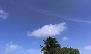 Imagem 5: Área pipa Sibauma plana limpa e com bom potencial de desmembramento