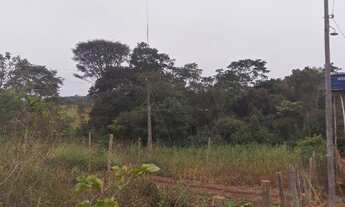 Imagem 6: Chácara de 5.000mt