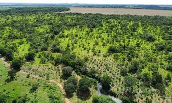 Imagem 3: Fazenda em Araguacema, Tocantins