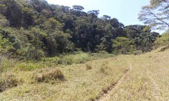 Imagem 5: SÍTIO EM IPIABAS - 4 ALQUEIRES MINEIROS FORMADO EM PASTO