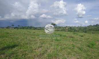 Imagem 4: Machadinho D'Oeste - Sítio - 12.5 Alqueires