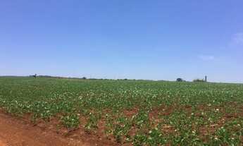 Imagem 2: Fazenda/Sítio/Chácara para venda tem 500 metros quadrados com 4 quartos