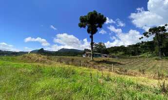 Imagem 6: Área Rural com 22,00ha de área total, para venda. Santa Tereza, Urubici (SC