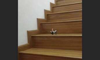 Imagem 4: Sobrado com 2 dormitórios à venda, 110 m² por R$ 265.000 - Jardim José Sampaio Júnior - Ri