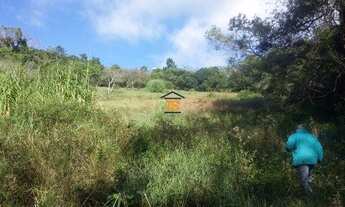 Imagem 5: Porto Alegre - Terreno Padrão - Glória