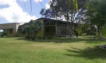 Imagem 8: Excelente Fazenda com 150 hectares em vera cruz estruturada