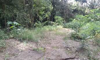 Imagem 6: Chácara arborizada de fácil acesso, localizada em Taquara RS!