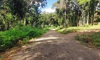 Imagem 6: Chácara de 1 hectare com vertentes pir apenas $$49.900, localizada em Taquara RS!!!