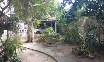 Imagem 4: Porto Alegre - Terreno Padrão - Jardim Botânico