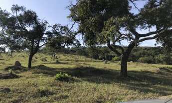 Imagem 4: Fazenda/Sítio/Chácara para venda possui * metros quadrados