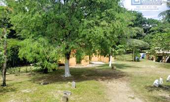 Imagem 2: Ilhéus - Fazenda - Iguape