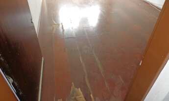 Imagem 2: Apartamento - Vila Mimosa - Campinas