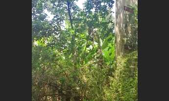 Imagem 3: Terreno à venda, 367 m² por R$ 850.000,00 - Centro - São Bernardo do Campo/SP