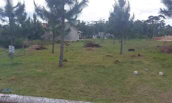 Imagem 4: Passo de Torres - Terreno Padrão - Novo Passo