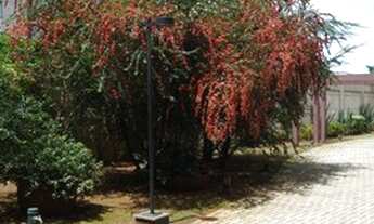 Imagem 4: APARTAMENTO PARA VENDA 58 M² CONDOMÍNIO ESTILO CLUBE