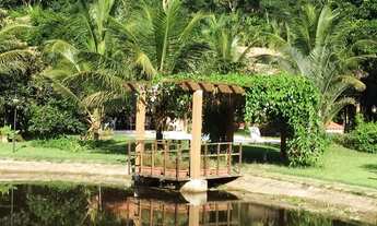 Imagem 7: Fazenda (altamente produtiva) - Silva Jardim