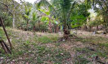 Imagem 4: Fazenda/Sítio/Chácara para venda possui 5000 metros quadrados com 2 quartos