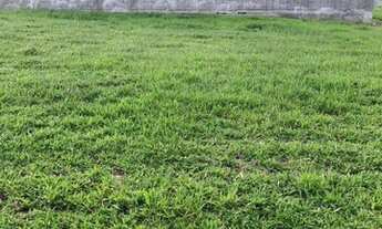 Imagem 4: Belissimo Terreno Plano - Reserva do Paratehy Norte