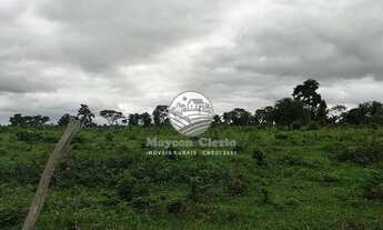 Imagem 3: Ariquemes - Sítio - 20 alqueires