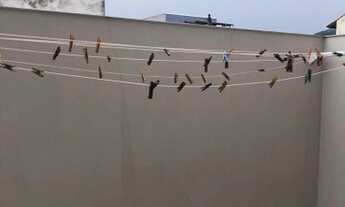 Imagem 3: FLORIANóPOLIS - Apartamento Padrão - Ingleses do Rio Vermelho