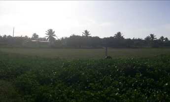 Imagem 4: Quadra próxima ao Chico do Caranguejo do Cumbuco