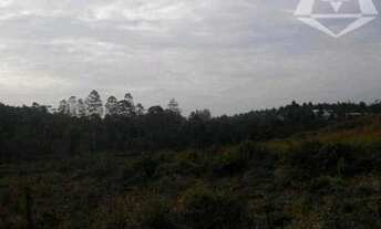 Imagem 6: Área à venda, 25360 m² por R$ 3.804.000,00 - Chácara Santa Mônica - Vargem Grande Paulista