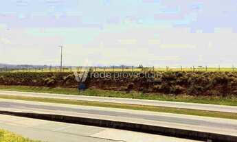 Imagem 3: área - Helvétia - Campinas