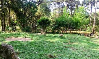 Imagem 6: Excelente Chácara